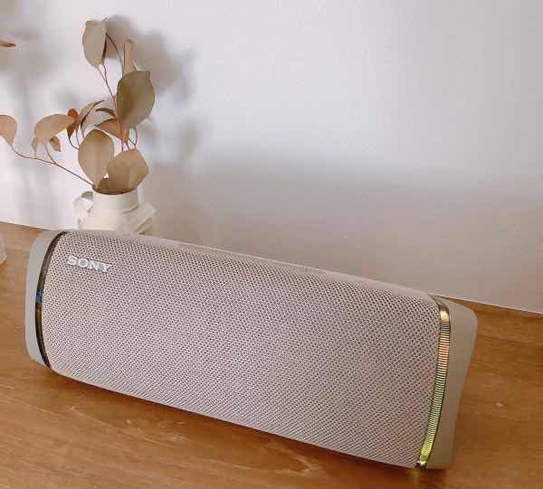 SONY XB43